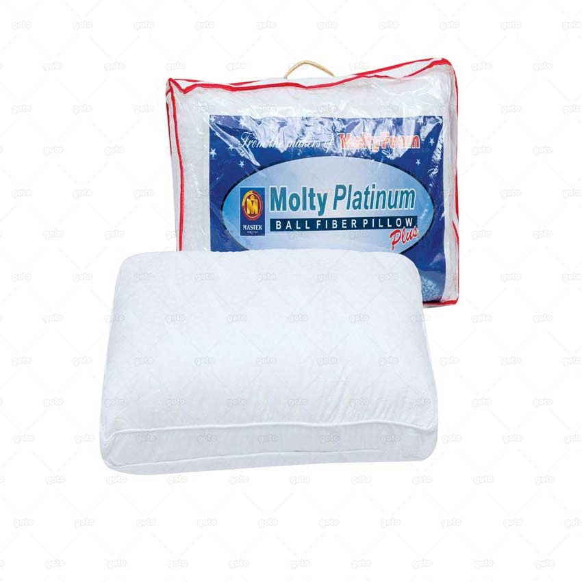 molty foam memory pillow