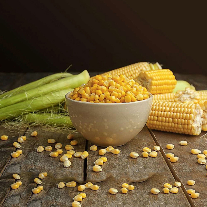 Seed for asian baby corn