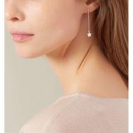 3D Star Earrings For Women Silver